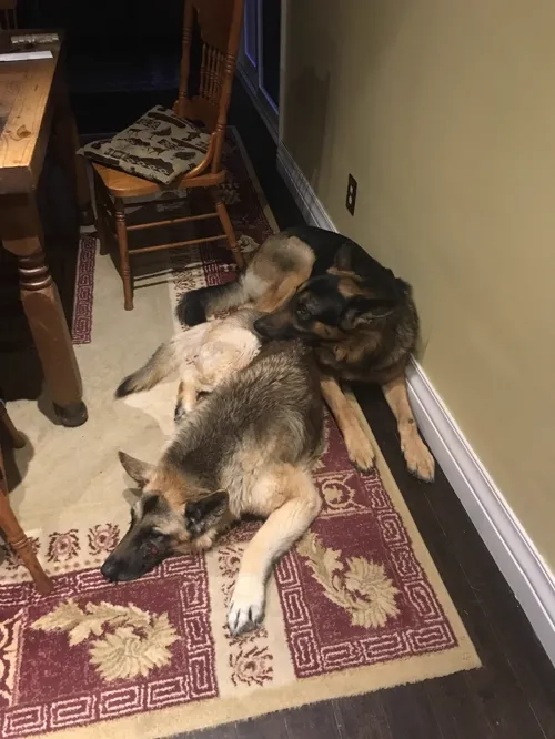 Emma and Max