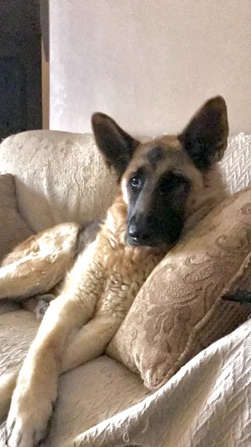 Emma on the couch