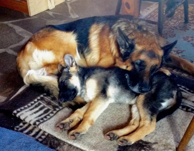 Jake and Emma sleeping