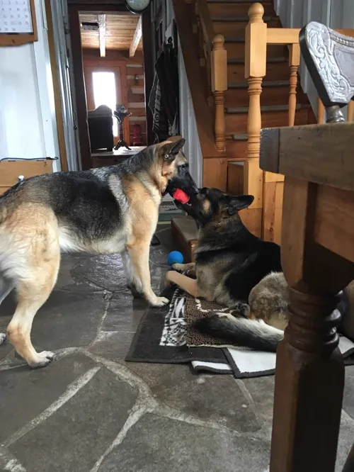 Rune and Emma playing